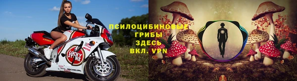 шишки Алзамай