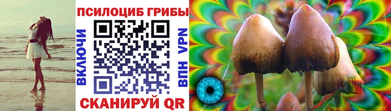 Галлюциногенные грибы Magic Shrooms  OMG tor  Елизаветинская  купить наркотик 