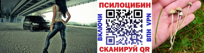 Галлюциногенные грибы прущие грибы Елизаветинская