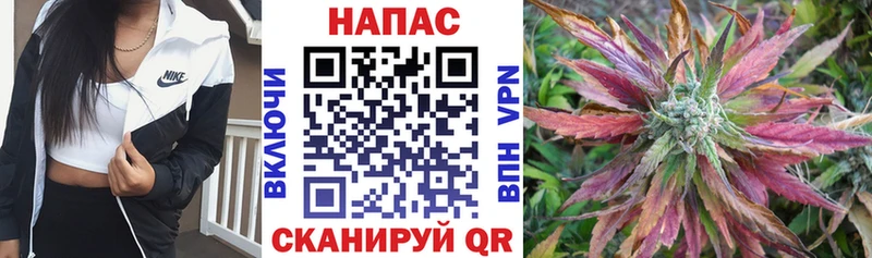 Каннабис ГИДРОПОН  Елизаветинская 